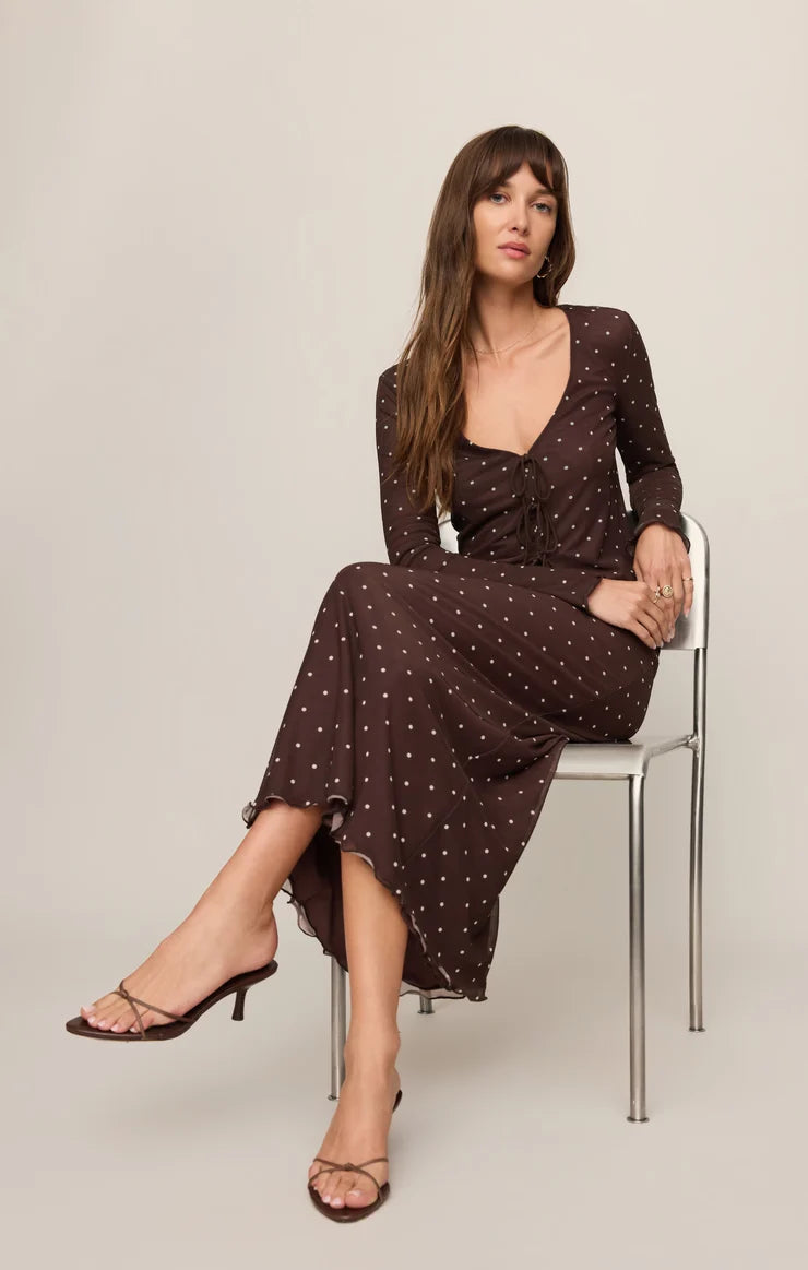 Z Supply Eda Polka Dot Mesh Midi Skirt