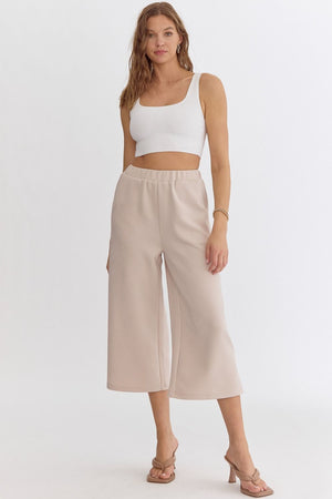 ENTRO INC Women's Pants TAUPE / S Textured High-Waisted Wide-Leg Pants || David's Clothing P22653