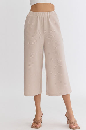 ENTRO INC Women's Pants Textured High-Waisted Wide-Leg Pants || David's Clothing