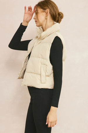 ENTRO INC Women's Top Cropped Puffer Zip-Up Vest || David's Clothing