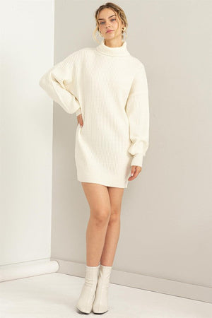 HYFVE INC. Women's Dresses CREAM / S Daily Dream Ribbed Turtleneck Sweater Mini Dress || David's Clothing DZ23G305