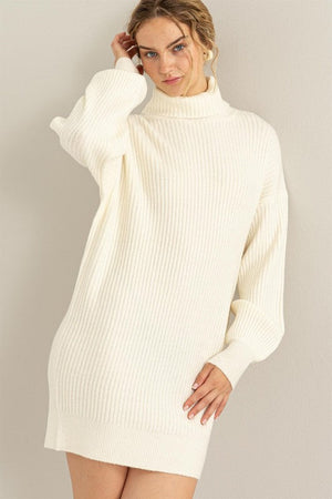 HYFVE INC. Women's Dresses Daily Dream Ribbed Turtleneck Sweater Mini Dress || David's Clothing