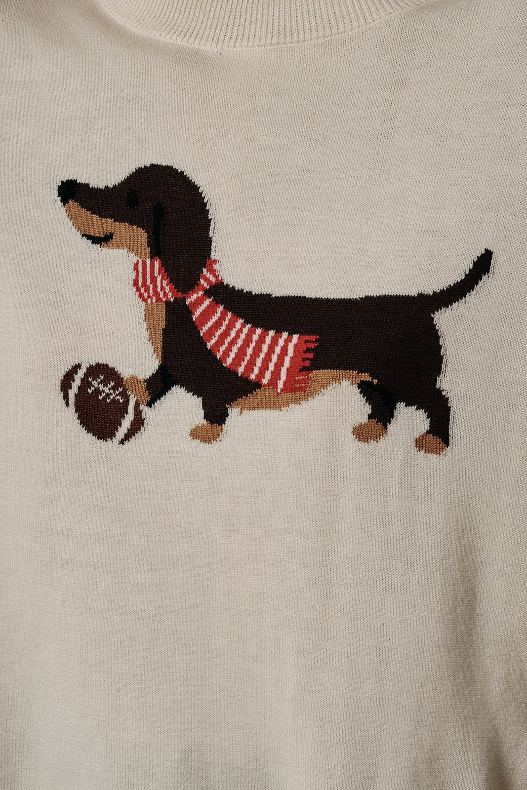 SUNDAY EDITION Women's Sweater Roll Up Neck 'game Day Dog' Graphic Sweater