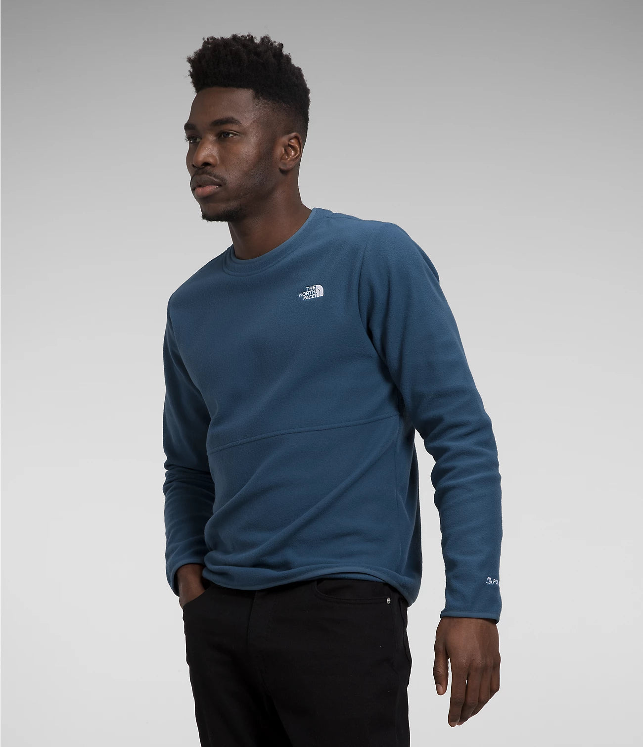 Mens north face crew neck sweatshirt online